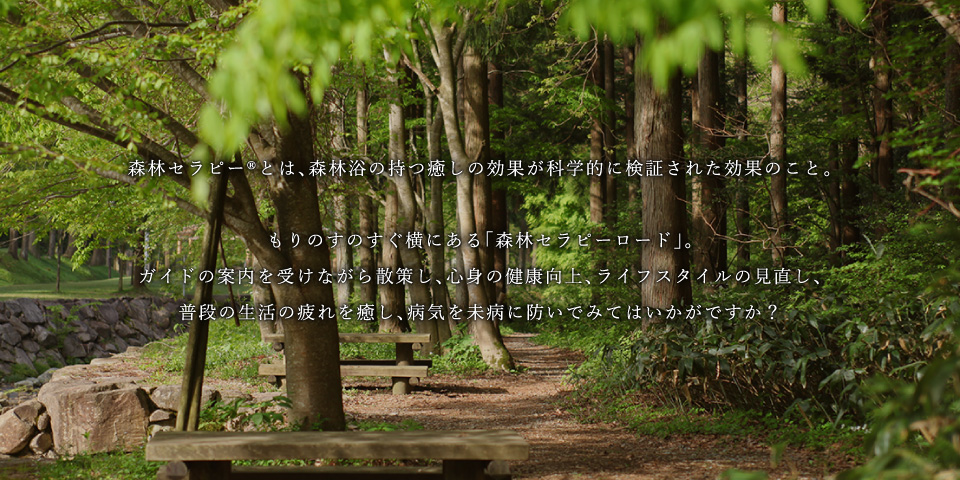 森林セラピー®とは、森林浴の持つ癒しの効果が科学的に検証された効果のこと。もりのすのすぐ横にある「森林セラピーロード」。ガイドの案内を受けながら散策し、心身の健康向上、ライフスタイルの見直し、普段の生活の疲れを癒し、病気を未病に防いでみてはいかがですか？